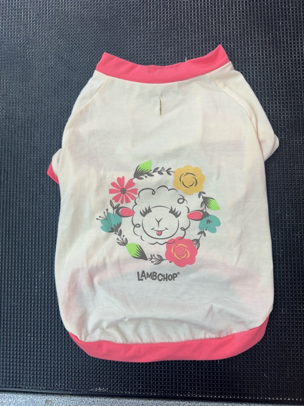 LambChop Kids Floral Graphic Tee - Pink Trim